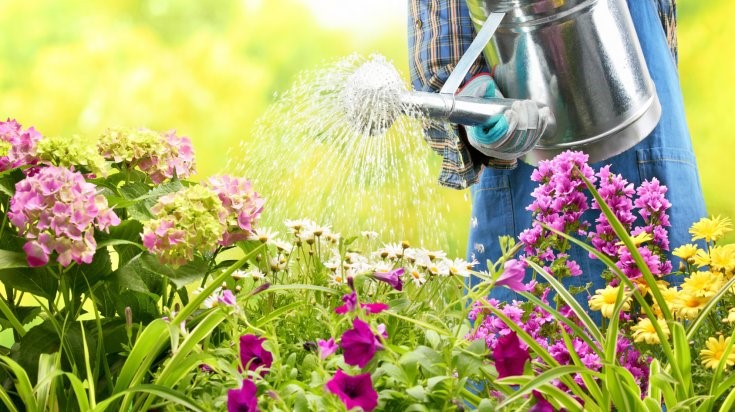 Idée passionnelle d’harmonie en jardinage : comment faire ?
