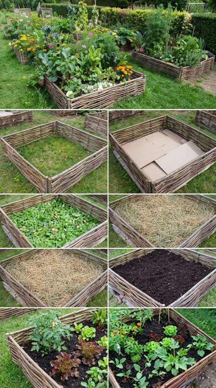 Bac potager traditionnel en bois tressé Aménagement d'un carré potager en bois tressé façon plessis