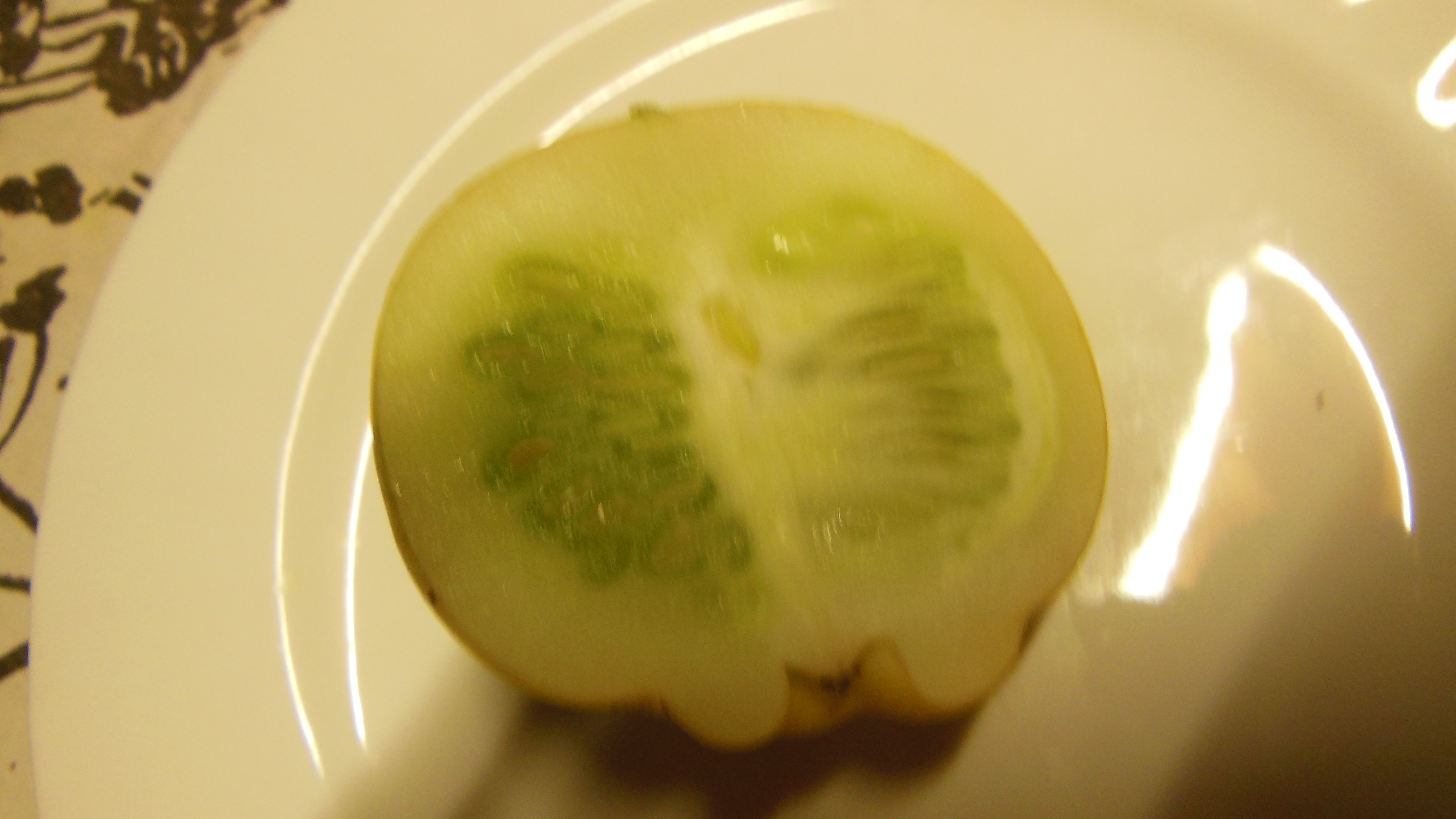 Cucumis sativus 'Lemon' Concombre délicieux ..consommer nature quand jeune