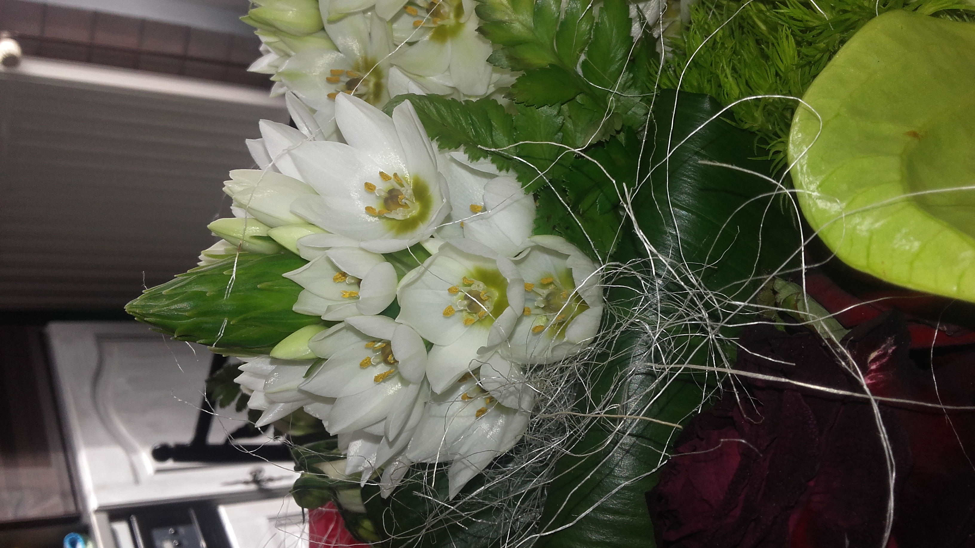 Je viens de découvrir cette fleur que je trouve magnifique. Pascale 