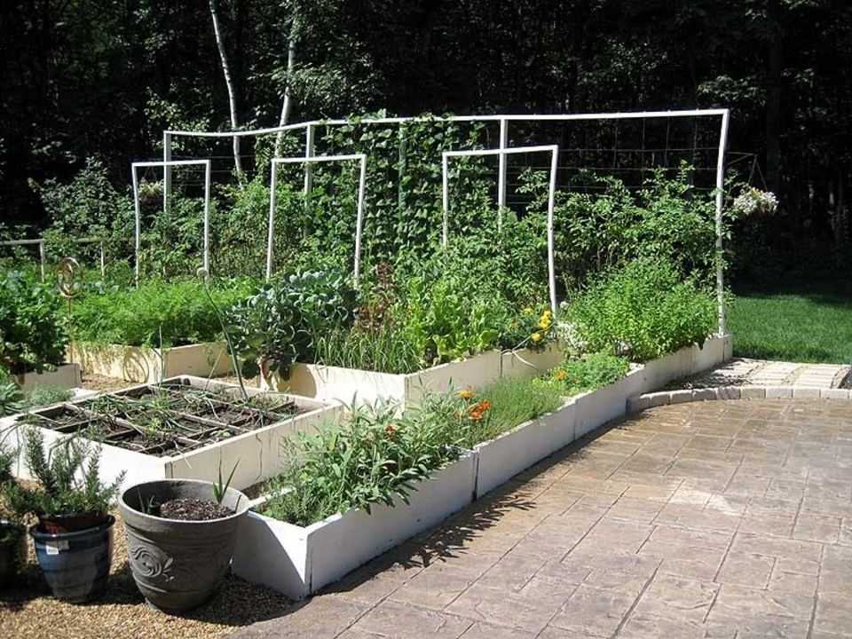 Potager : idée d'aménagement
