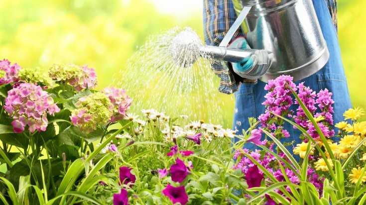 Idée passionnelle d’harmonie en jardinage : comment faire ?