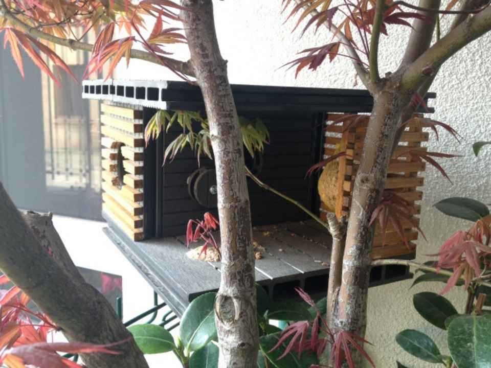 Top 10 des nichoirs et mangeoires à oiseaux