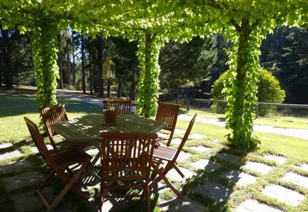 Lierre dense et persistant pour habiller facilement vos treillages Mur de lierre vert tapissant le flanc d'une pergola de jardin
