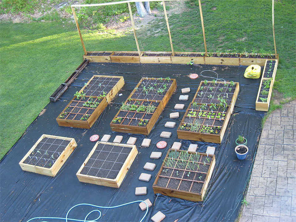 Potager : idée d'aménagement