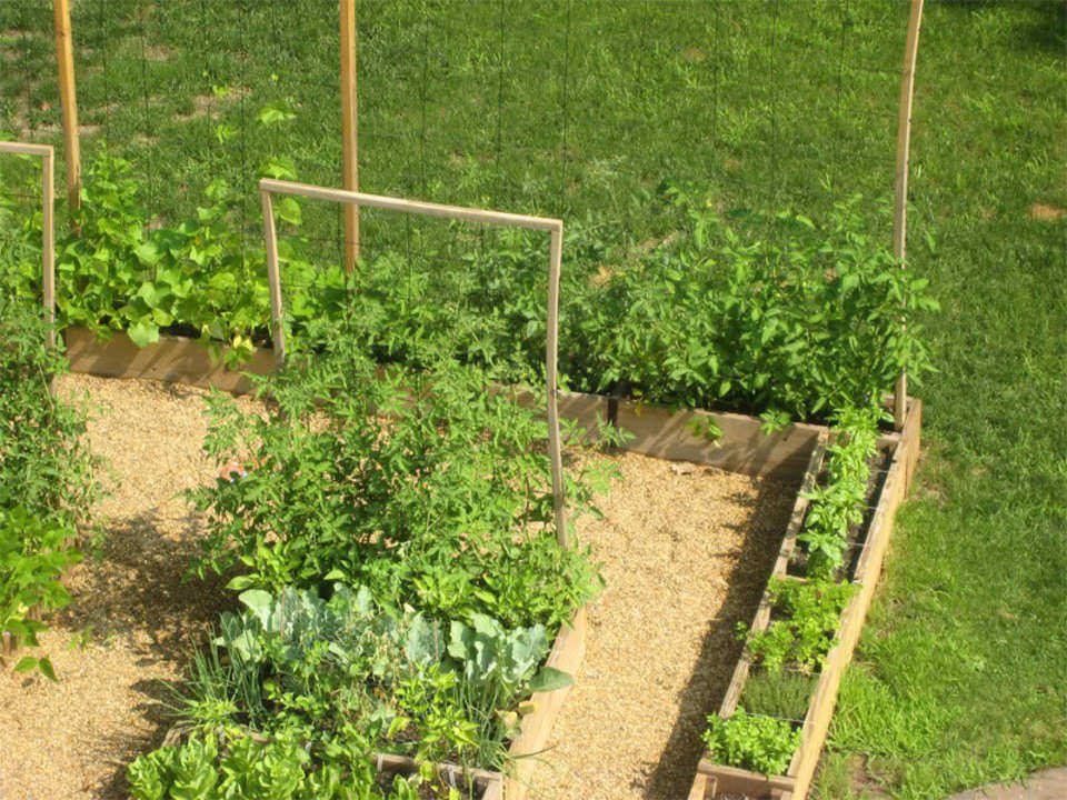 Potager : idée d'aménagement