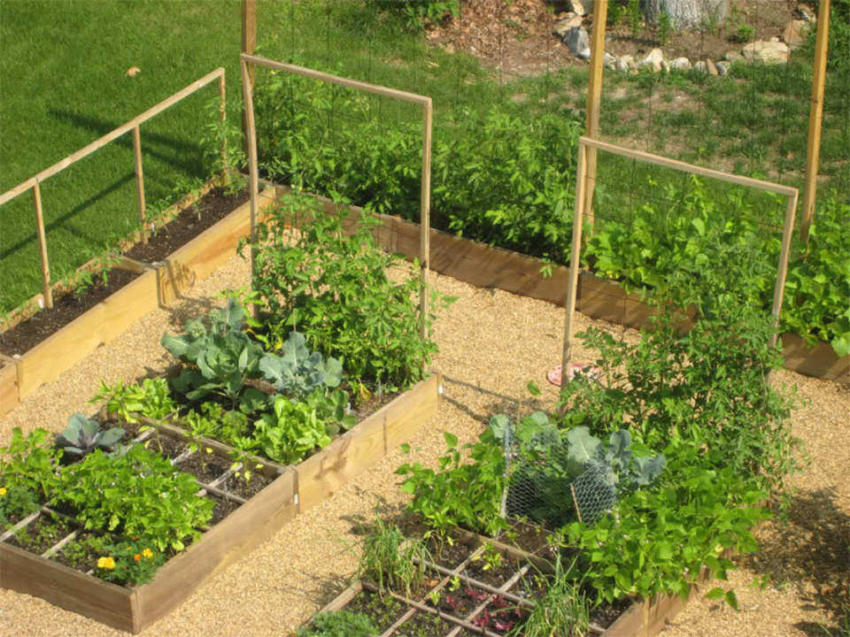 Potager : idée d'aménagement