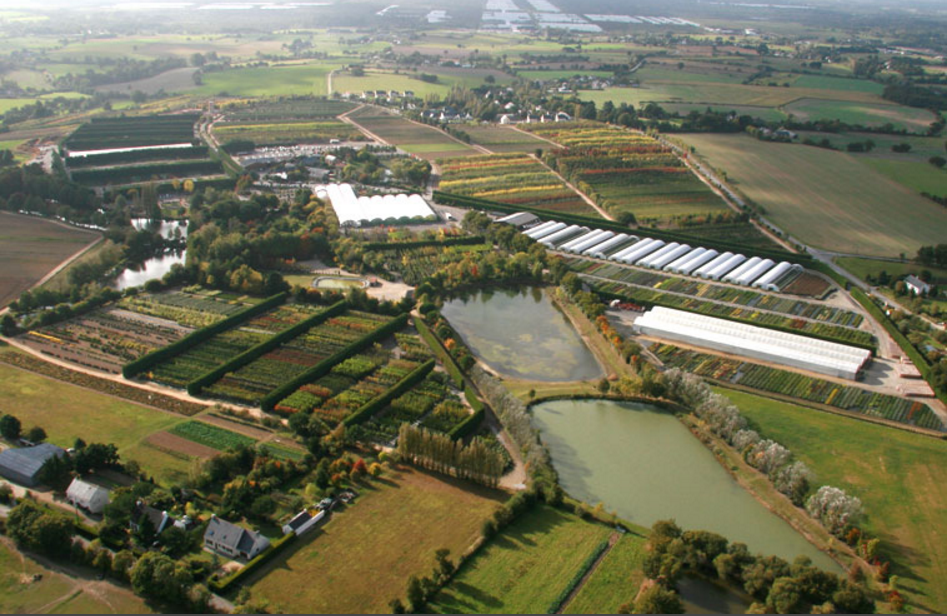 P pini res Du Val D Erdre Mon Avis Jardin Et Maison P pini res Du Val D Erdre Mon Avis Jardin Et Maison