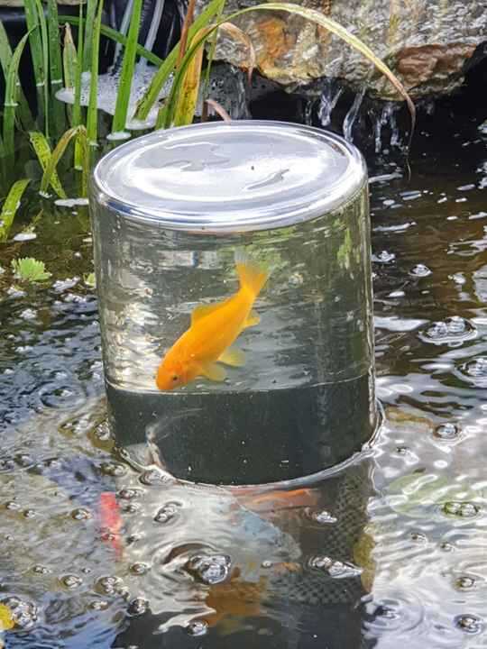 Comment fabriquer soi-même une tour à poisson pour moins de 30 euros