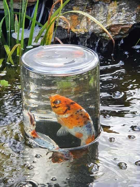 Comment fabriquer soi-même une tour à poisson pour moins de 30 euros