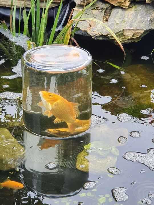 Comment fabriquer soi-même une tour à poisson pour moins de 30 euros