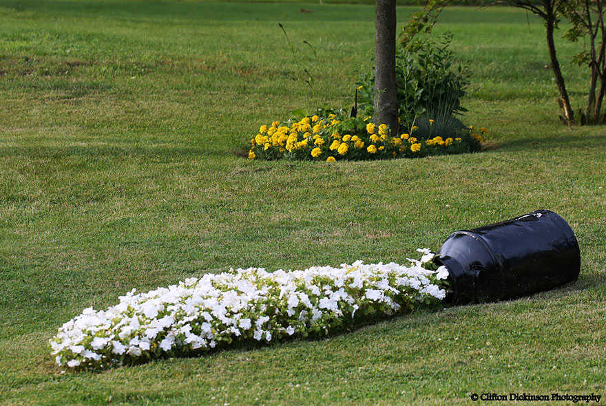 Top 20 des idées de déco de jardin Top 20 des idées de déco de jardin