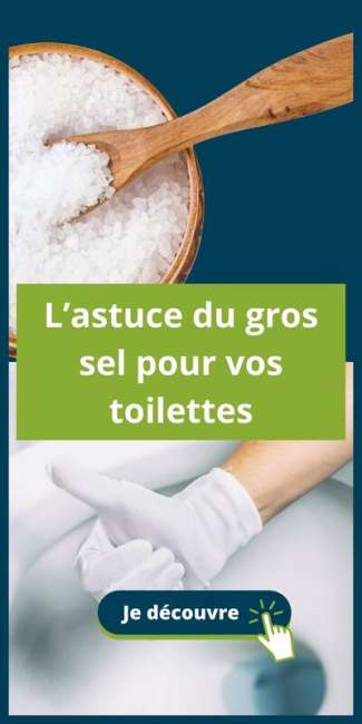 L’astuce du gros sel pour vos toilettes