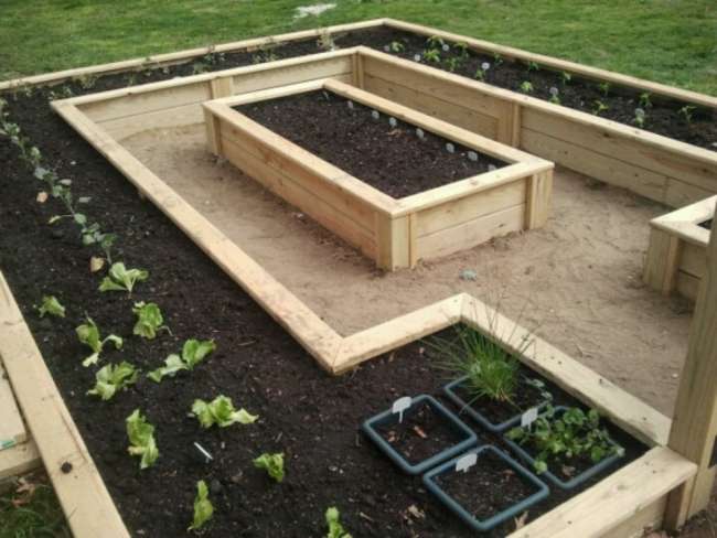 Potager : Quelques idées d'aménagement de carrés potager
