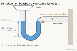 Schéma d'un siphon de lavabo : la garde d'eau de 50 mm minimum bloque les gaz qui remontent de l'égout
